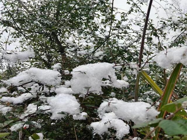 厦门夜场招聘信息（帝龙城夜总会厦门KTV招聘工资按天结）