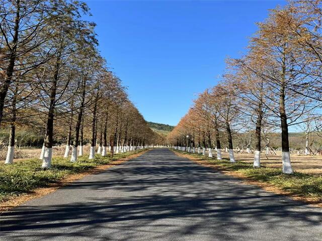 青岛市北区KTV预订信息超值套餐等你体验