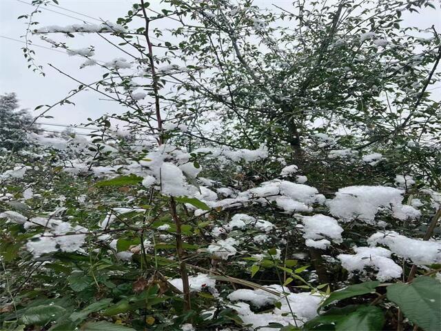 广州海珠区素社街夜总会KTV订位全流程体验